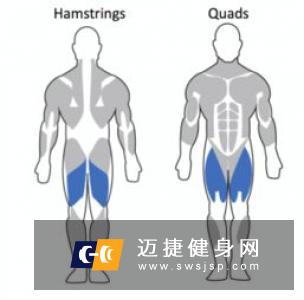 臀中肌力量训练方法有哪些单腿箱式深蹲深蹲刺激到臀小肌