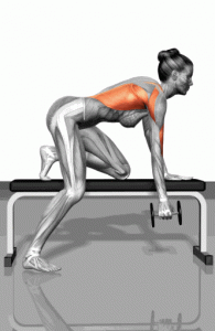 如何锻炼后背的全身肌肉